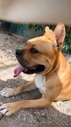 BILLY Imagen 3